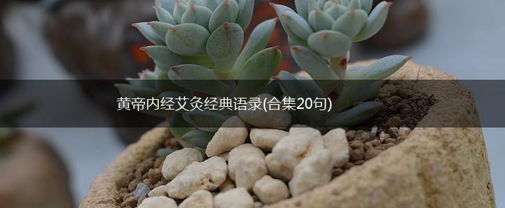 黄帝内经艾灸经典语录(合集20句),第1张