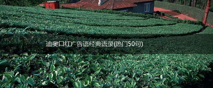 迪奥口红广告语经典语录(热门50句),第1张