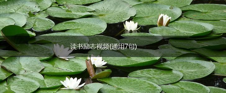 读书励志视频(通用7句),第1张