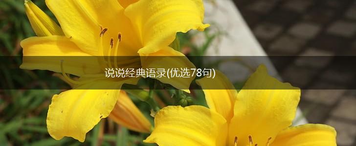 说说经典语录(优选78句),第1张