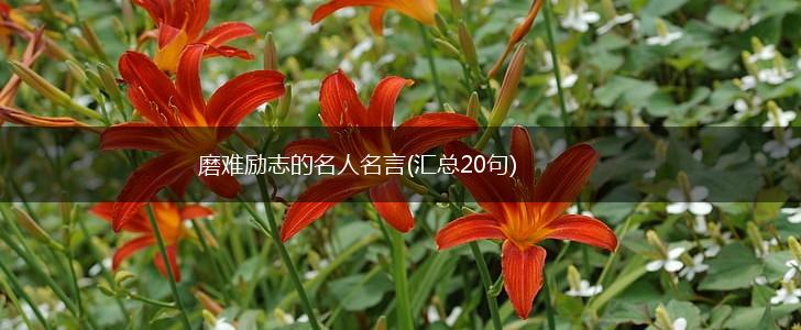 磨难励志的名人名言(汇总20句),第1张 磨难励志的名人名言(汇总20句),第1张