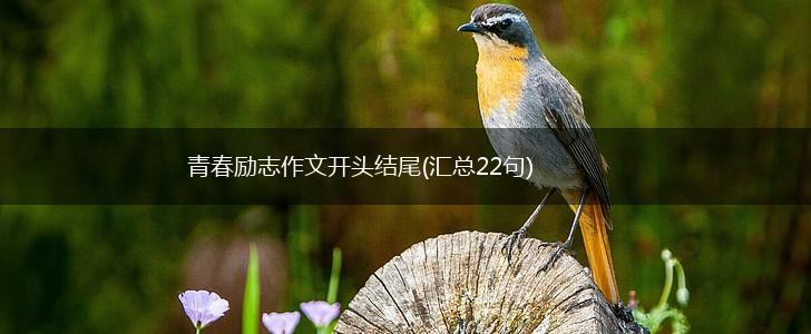 青春励志作文开头结尾(汇总22句),第1张