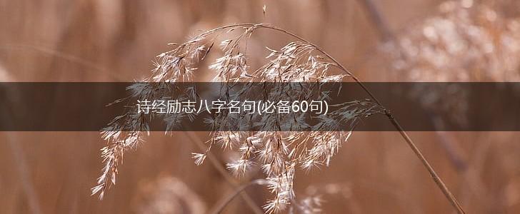 诗经励志八字名句(必备60句),第1张