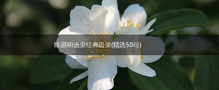 陈道明语录经典语录(精选50句),第1张