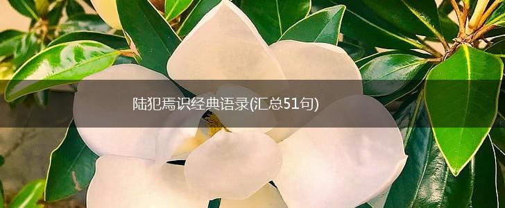 陆犯焉识经典语录(汇总51句),第1张