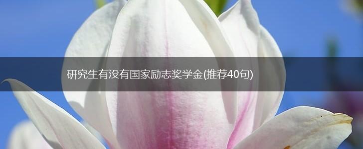 研究生有没有国家励志奖学金(推荐40句),第1张 研究生有没有国家励志奖学金(推荐40句),第1张