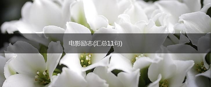 电影励志(汇总11句),第1张