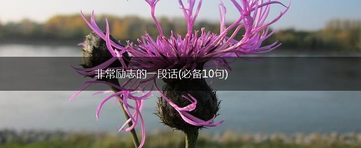 非常励志的一段话(必备10句),第1张