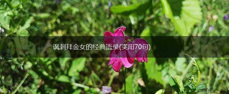 讽刺拜金女的经典语录(实用70句),第1张