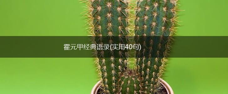 霍元甲经典语录(实用40句),第1张