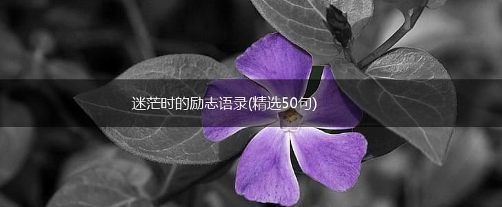 迷茫时的励志语录(精选50句),第1张