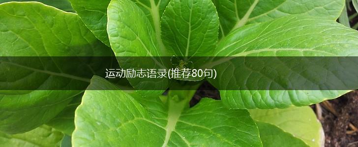 运动励志语录(推荐80句),第1张