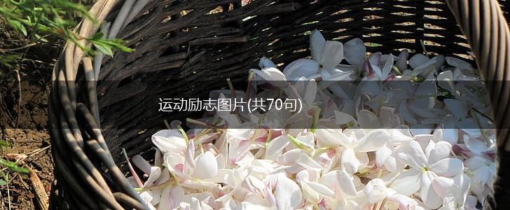 运动励志图片(共70句),第1张
