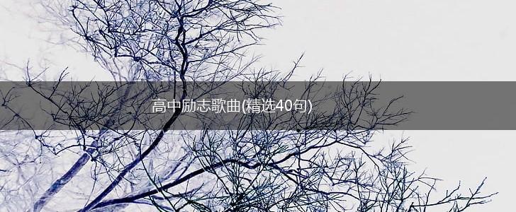 高中励志歌曲(精选40句),第1张