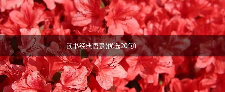 读书经典语录(优选20句),第1张 读书经典语录(优选20句),第1张