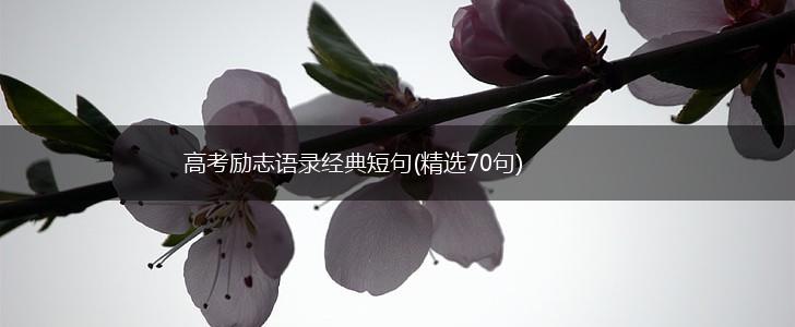 高考励志语录经典短句(精选70句),第1张