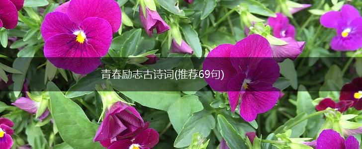 青春励志古诗词(推荐69句),第1张
