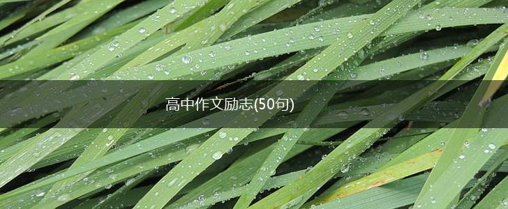 高中作文励志(50句),第1张