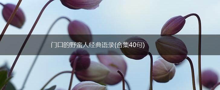 门口的野蛮人经典语录(合集40句),第1张