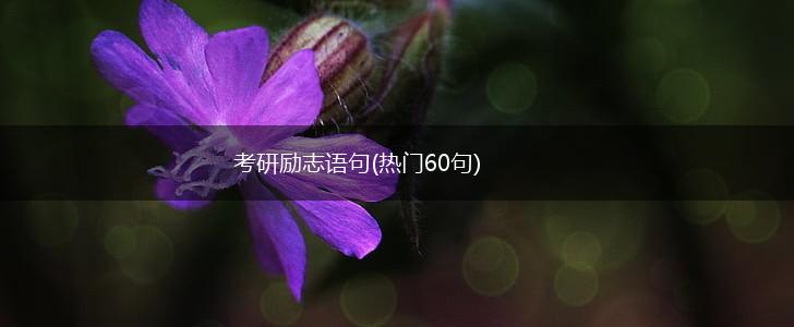 考研励志语句(热门60句),第1张 考研励志语句(热门60句),第1张