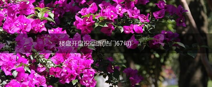 楼盘开盘祝福语(热门67句),第1张