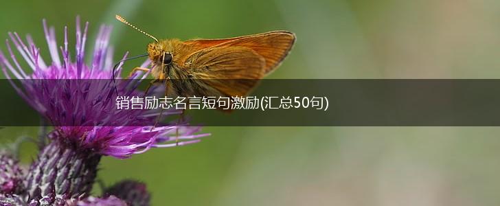 销售励志名言短句激励(汇总50句),第1张