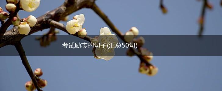 考试励志的句子(汇总50句),第1张 考试励志的句子(汇总50句),第1张