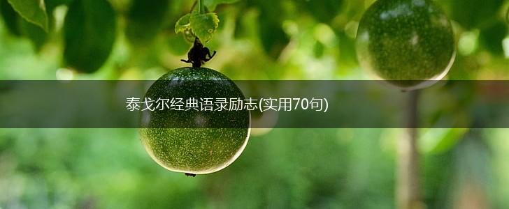 泰戈尔经典语录励志(实用70句),第1张