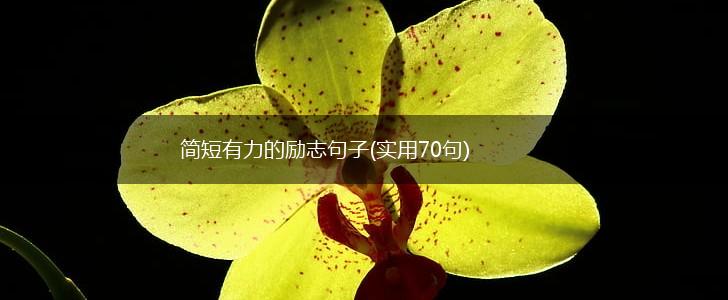 简短有力的励志句子(实用70句),第1张 简短有力的励志句子(实用70句),第1张