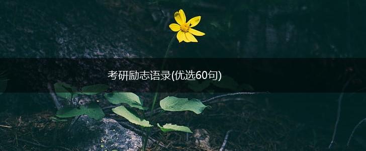 考研励志语录(优选60句),第1张 考研励志语录(优选60句),第1张