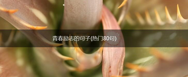 青春励志的句子(热门80句),第1张