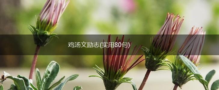 鸡汤文励志(实用80句),第1张