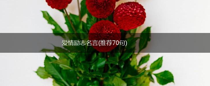 爱情励志名言(推荐70句),第1张