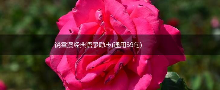 饶雪漫经典语录励志(通用39句),第1张