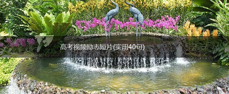 高考视频励志短片(实用40句),第1张