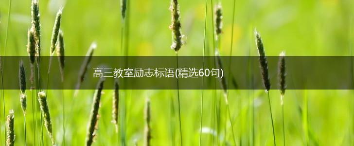 高三教室励志标语(精选60句),第1张