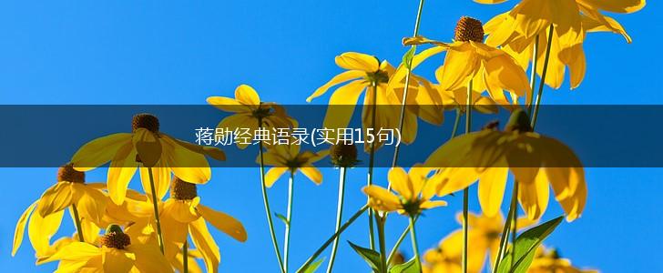 蒋勋经典语录(实用15句),第1张