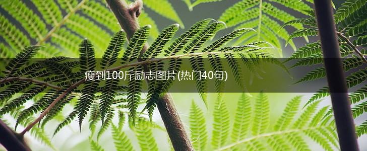 瘦到100斤励志图片(热门40句),第1张