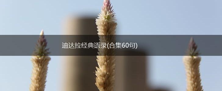 迪达拉经典语录(合集60句),第1张