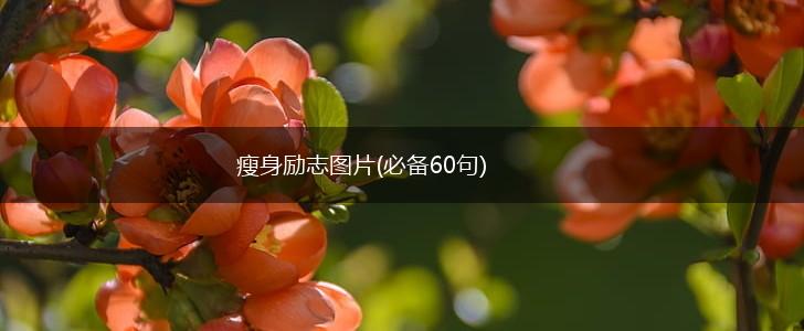 瘦身励志图片(必备60句),第1张 瘦身励志图片(必备60句),第1张