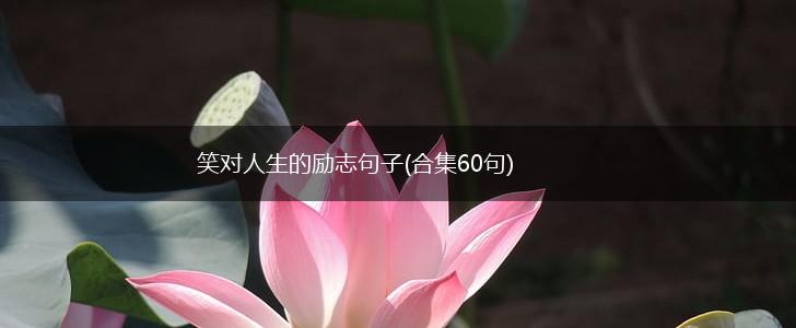 笑对人生的励志句子(合集60句),第1张