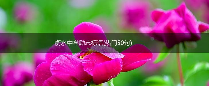 衡水中学励志标语(热门50句),第1张