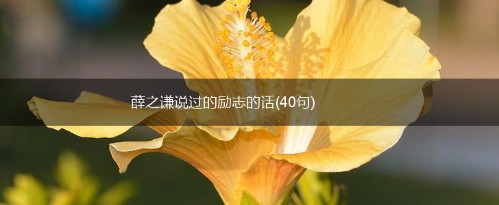 薛之谦说过的励志的话(40句),第1张
