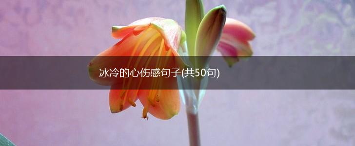 冰冷的心伤感句子(共50句),第1张