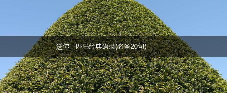 送你一匹马经典语录(必备20句),第1张
