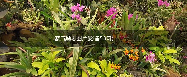 霸气励志图片(必备53句),第1张