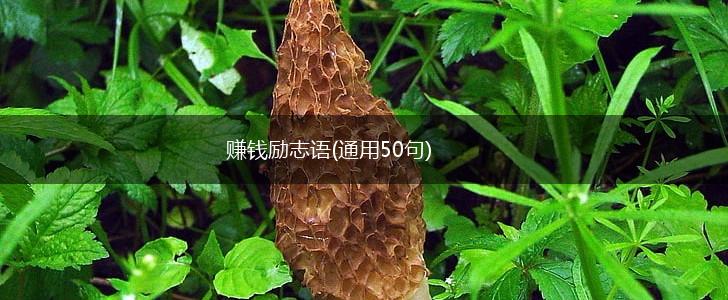 赚钱励志语(通用50句),第1张