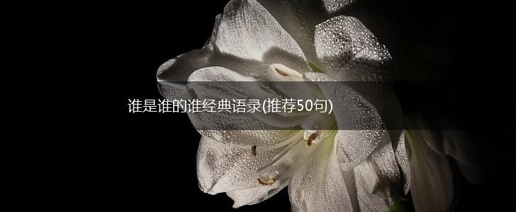 谁是谁的谁经典语录(推荐50句),第1张