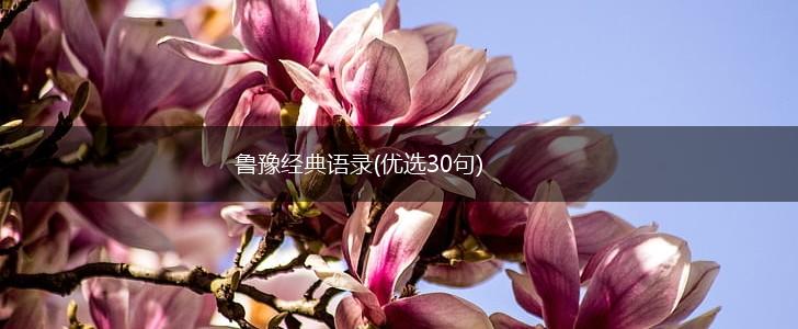 鲁豫经典语录(优选30句),第1张