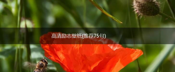 高清励志壁纸(推荐75句),第1张